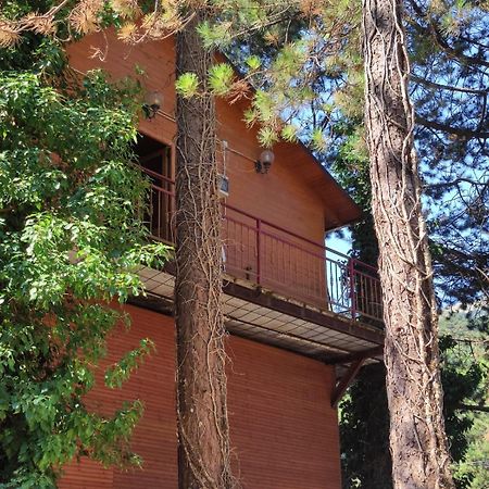 Hotel Toni Llogora Llogara National Park Exterior foto